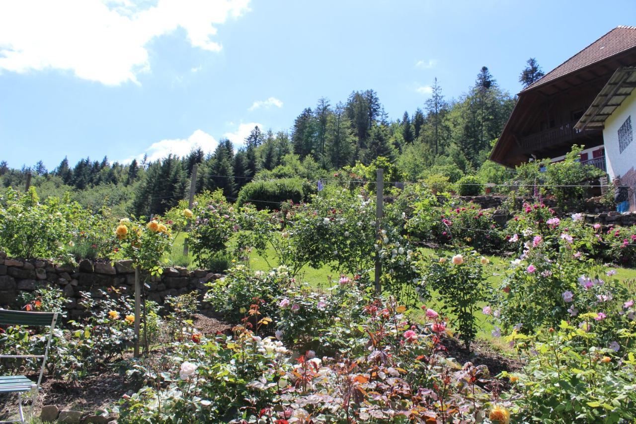 Pensjonat The Moosbach Garden Nordrach Zewnętrze zdjęcie