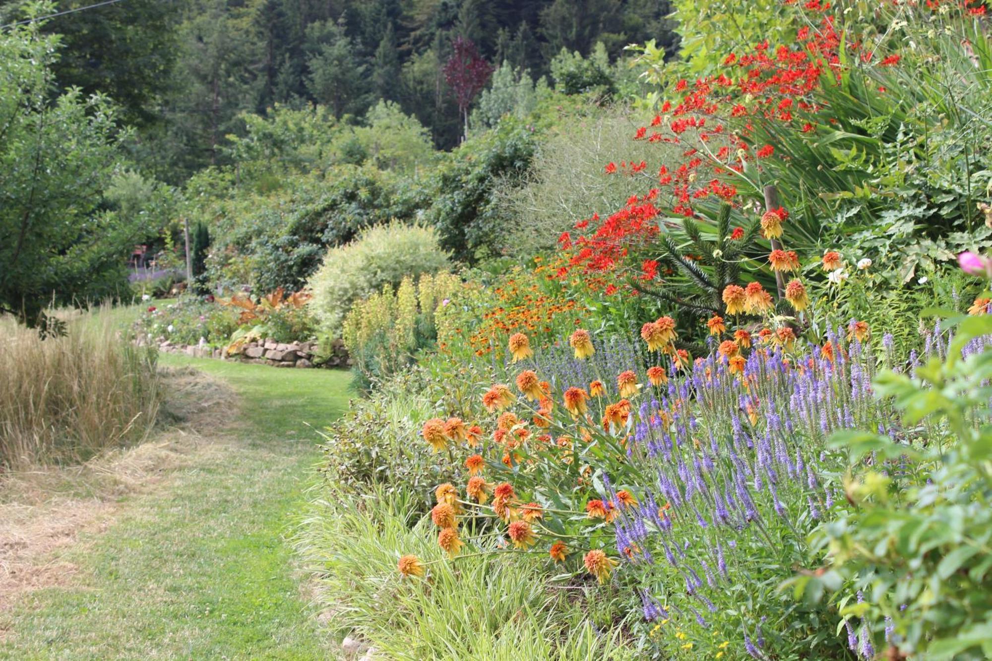 Pensjonat The Moosbach Garden Nordrach Zewnętrze zdjęcie