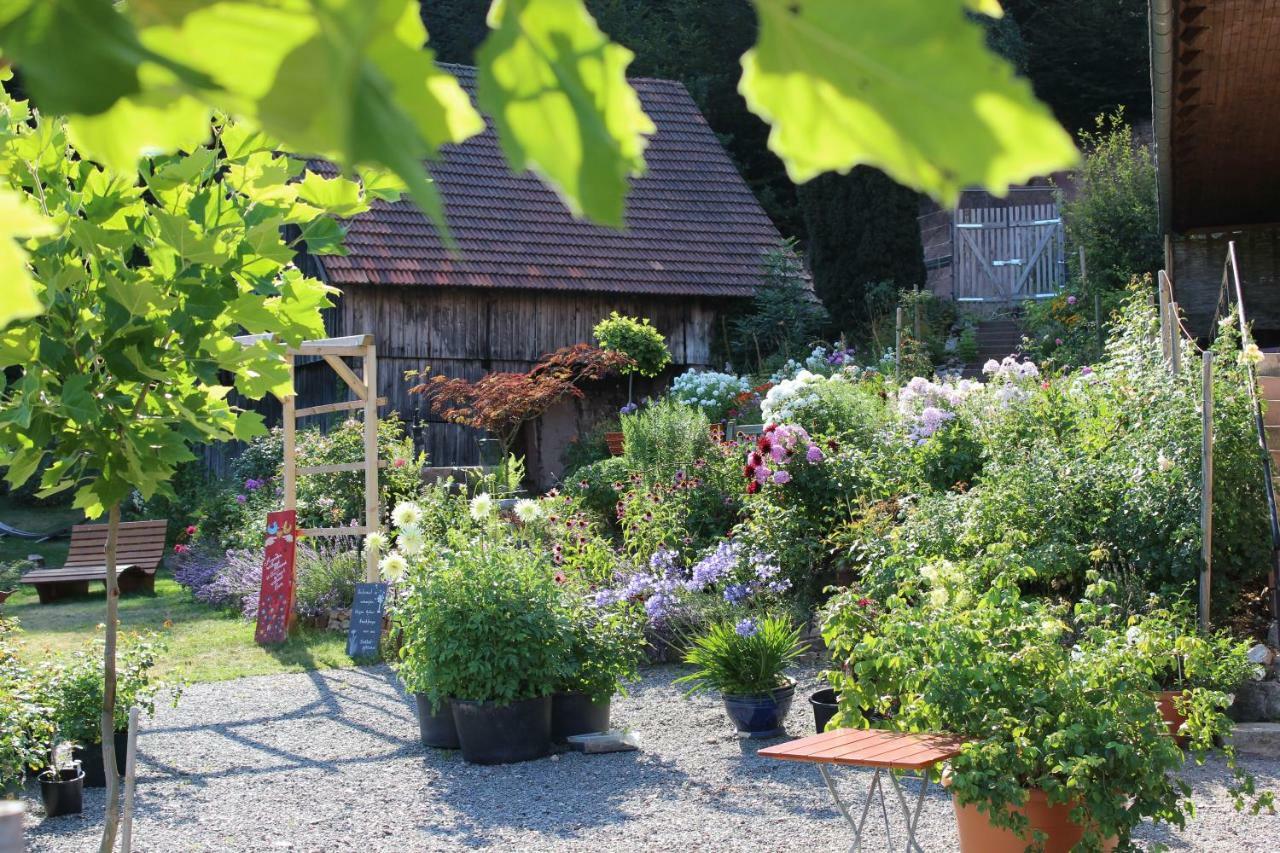 Pensjonat The Moosbach Garden Nordrach Zewnętrze zdjęcie